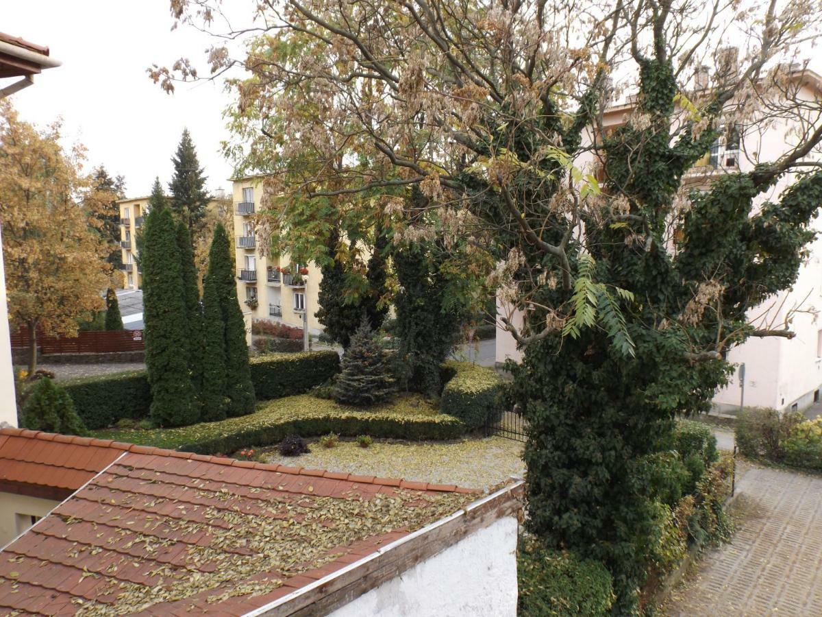 Vitalis Apartman Eger Bagian luar foto